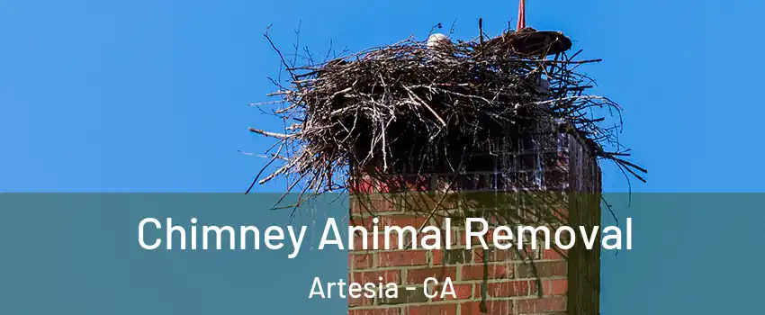Chimney Animal Removal Artesia - CA