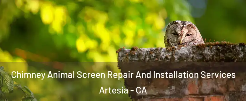 Chimney Animal Screen Repair And Installation Services Artesia - CA