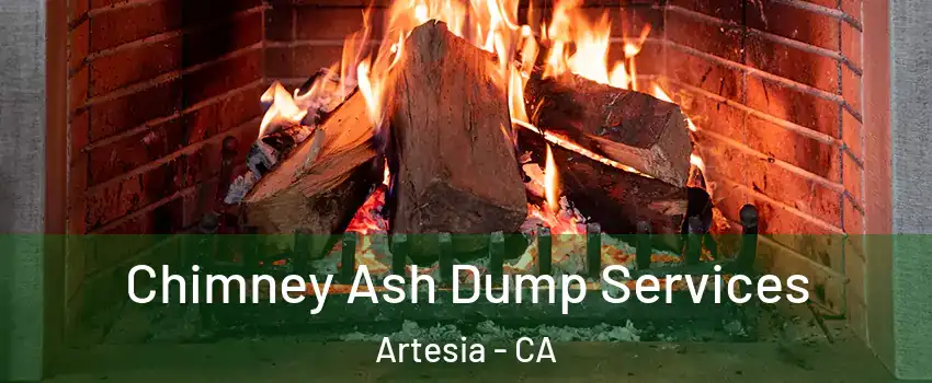 Chimney Ash Dump Services Artesia - CA