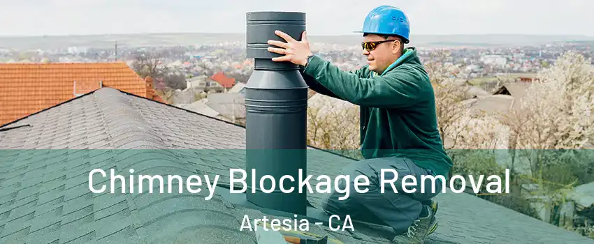 Chimney Blockage Removal Artesia - CA