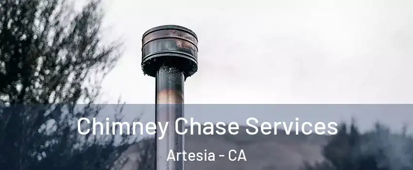 Chimney Chase Services Artesia - CA