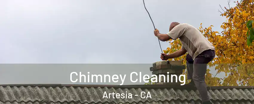 Chimney Cleaning Artesia - CA