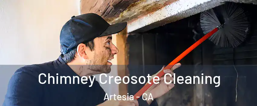 Chimney Creosote Cleaning Artesia - CA