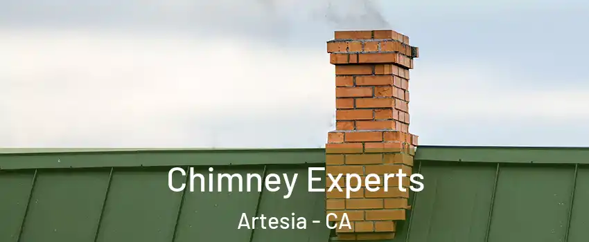 Chimney Experts Artesia - CA