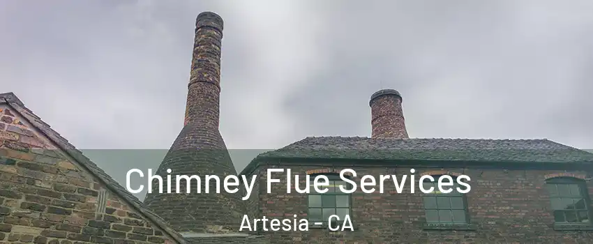 Chimney Flue Services Artesia - CA