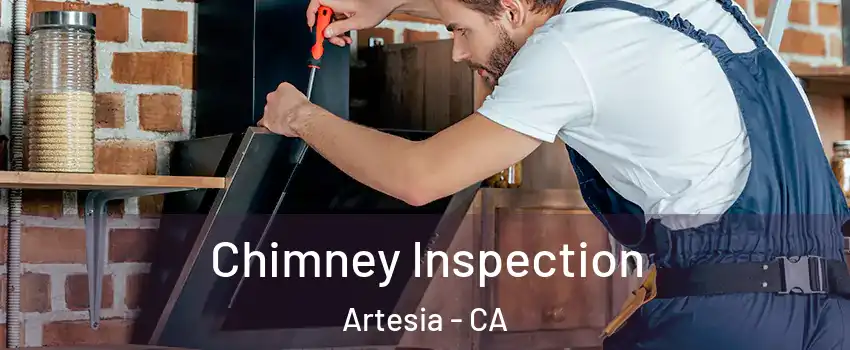Chimney Inspection Artesia - CA