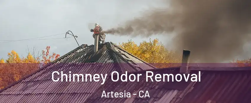 Chimney Odor Removal Artesia - CA