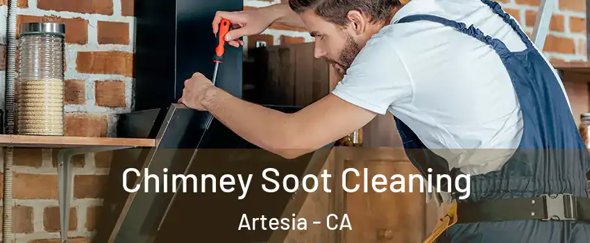 Chimney Soot Cleaning Artesia - CA