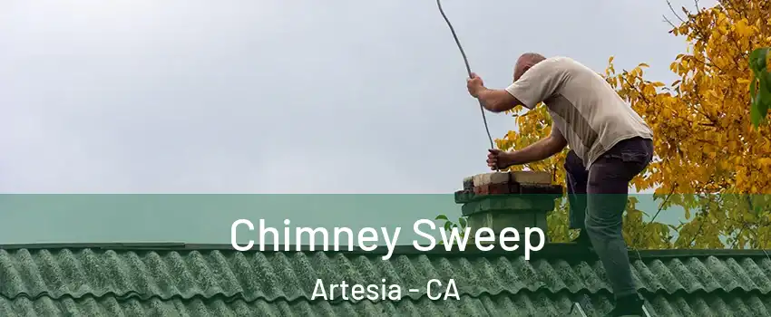 Chimney Sweep Artesia - CA