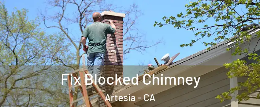 Fix Blocked Chimney Artesia - CA