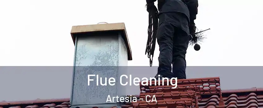 Flue Cleaning Artesia - CA