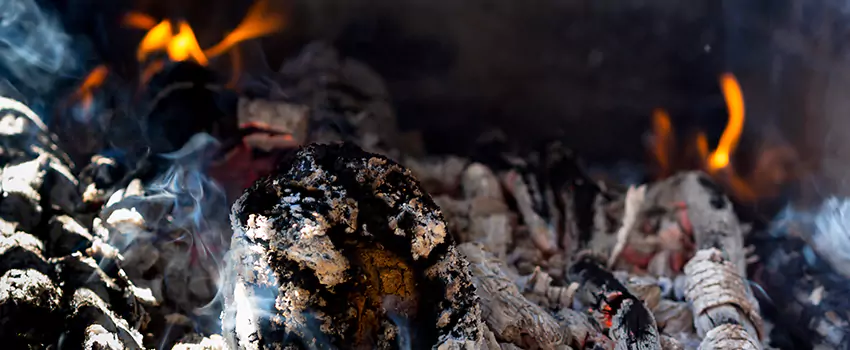 Creosote Removal Experts in Artesia, CA